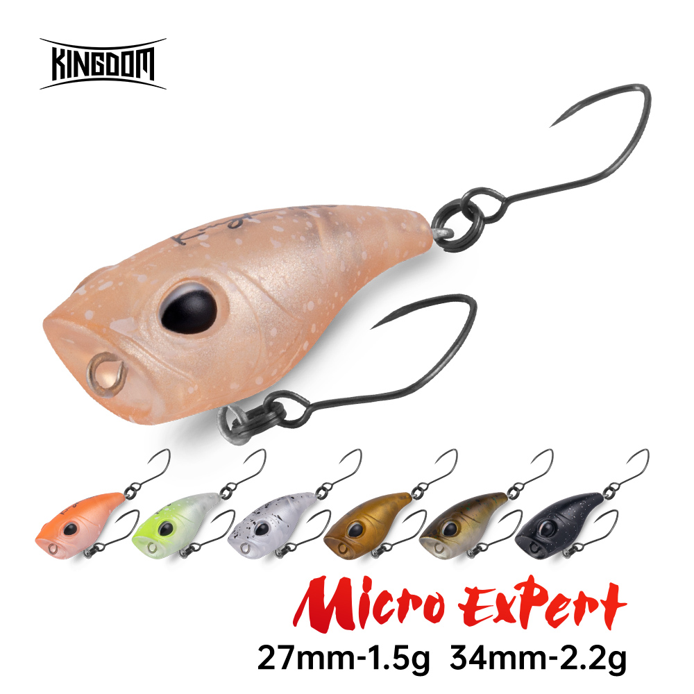 Kingdom Micro Expert Topwater  - Fishing Lure Popper recensione e prezzo